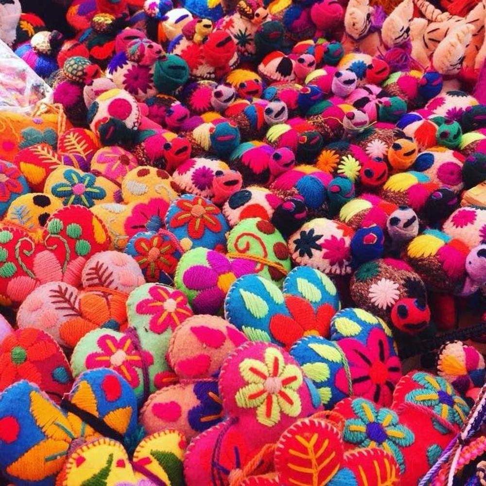 Meet your Posher, Fabiola